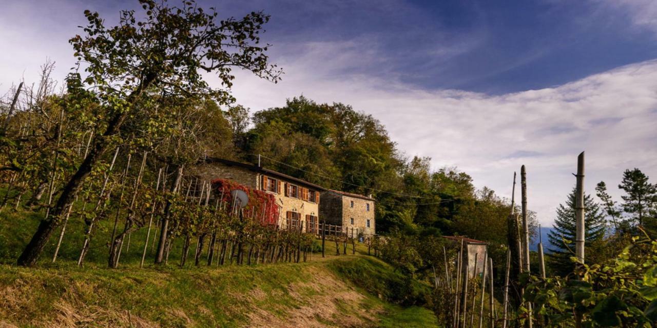 Вілла Casa Del'Orto Bigliolo Екстер'єр фото